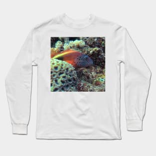 Freckled hawkfish Long Sleeve T-Shirt